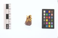 Foto von Gold (NHMW-MIN-Ai626)